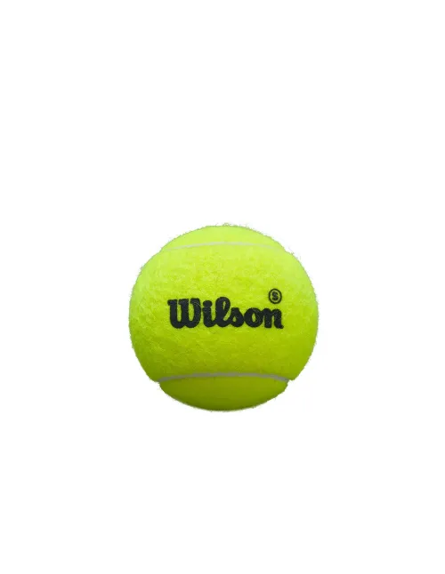 Cajón 24 Botes Bolas Wilson Premier Padel | Ofertas de pádel